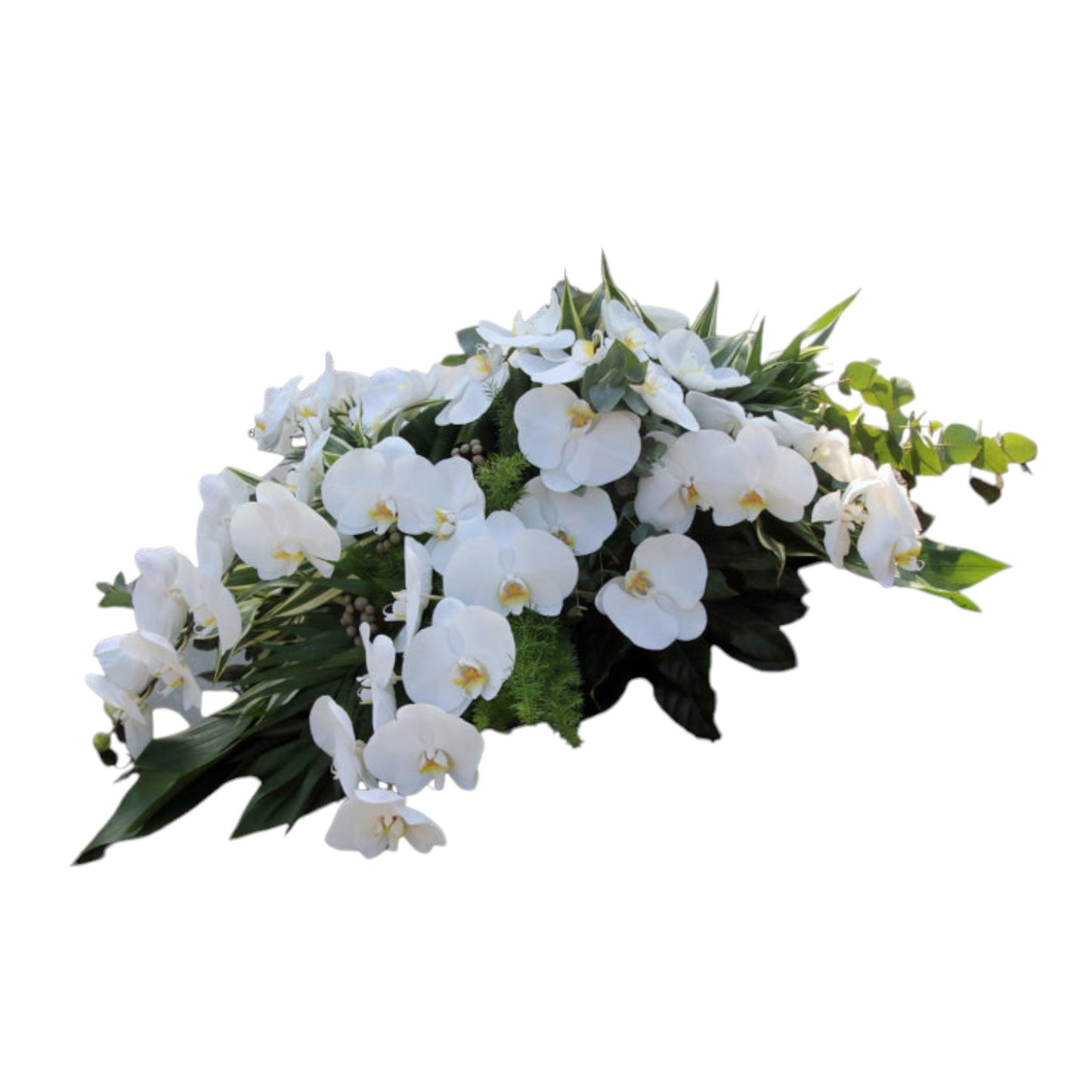 <tc>Coussin - Orchidée</tc>
