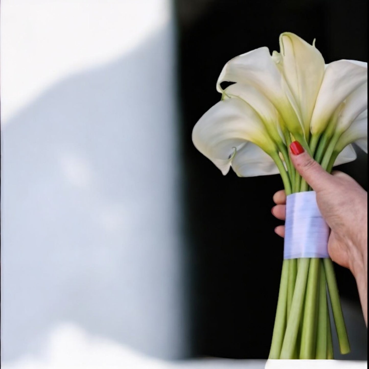<tc>Calla Bride</tc>
