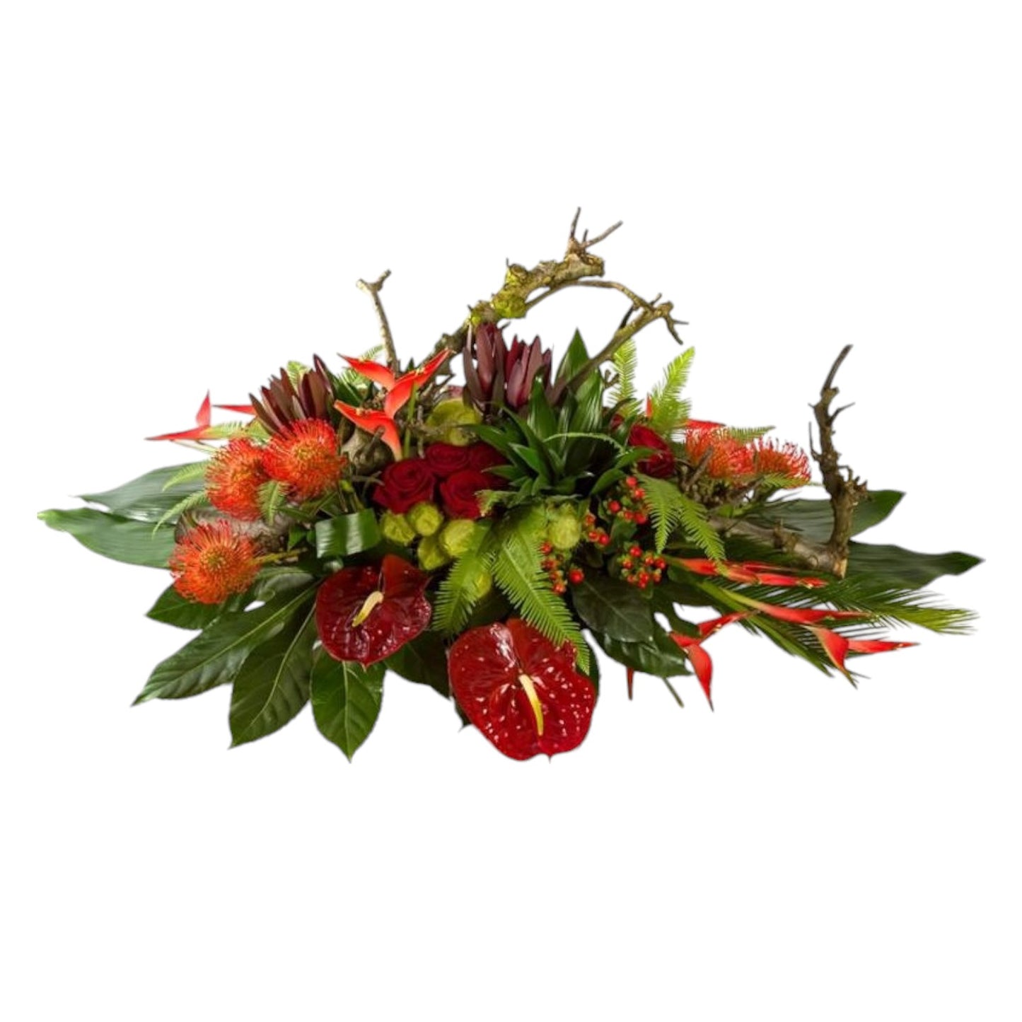 <tc>Coussin - Exotique</tc>