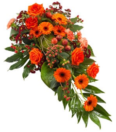 <tc>Coussin - Goutte</tc>
