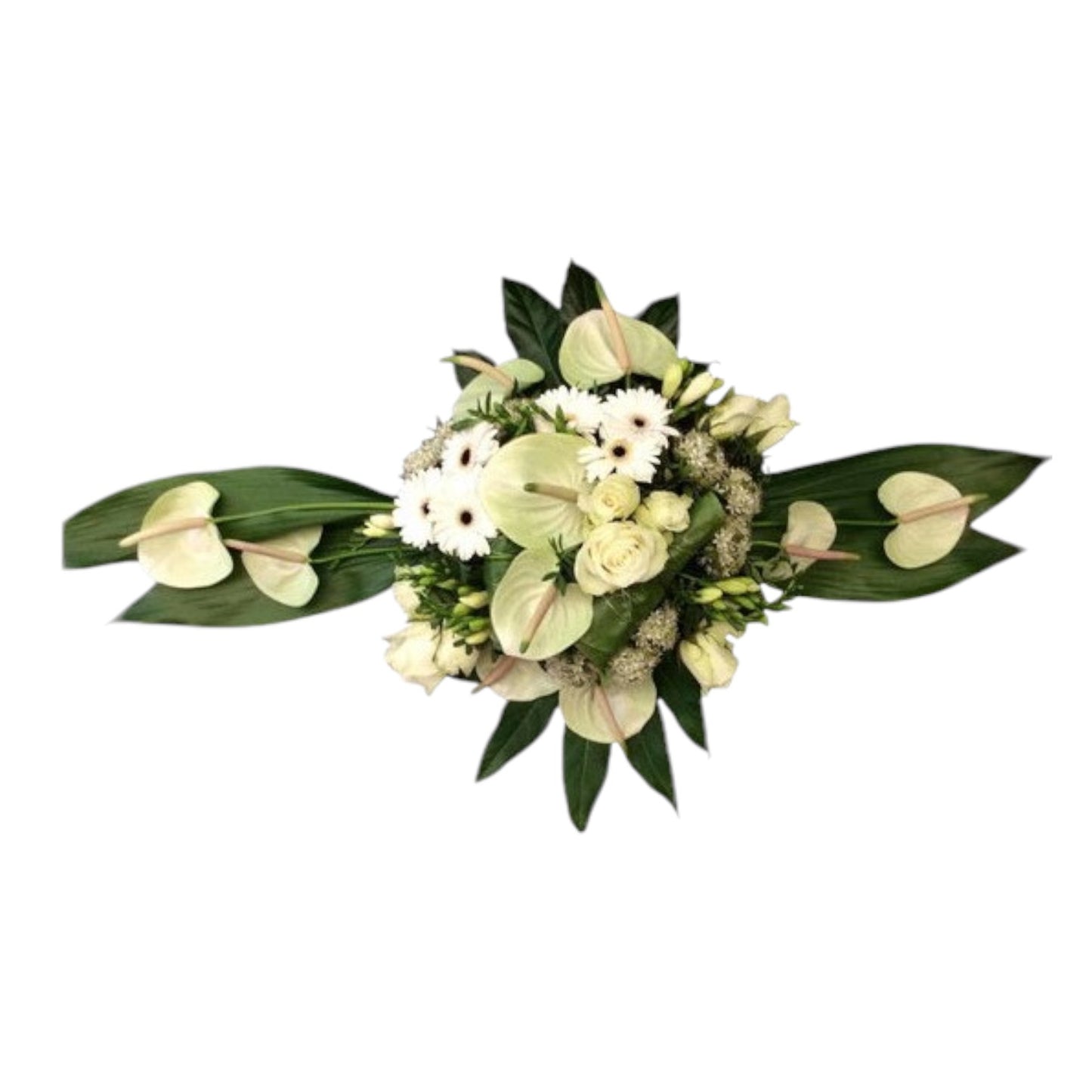 <tc>Coussin - Moderne</tc>