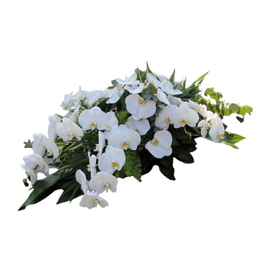 <tc>Sting grave branch - Orchidée</tc>