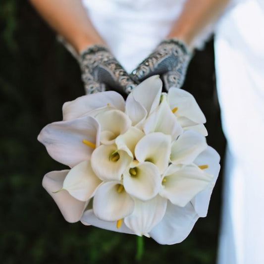 <tc>Calla Bride</tc>