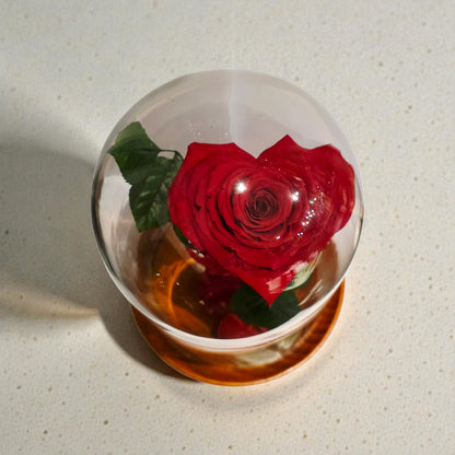 Dôme en verre rose cœur éternel